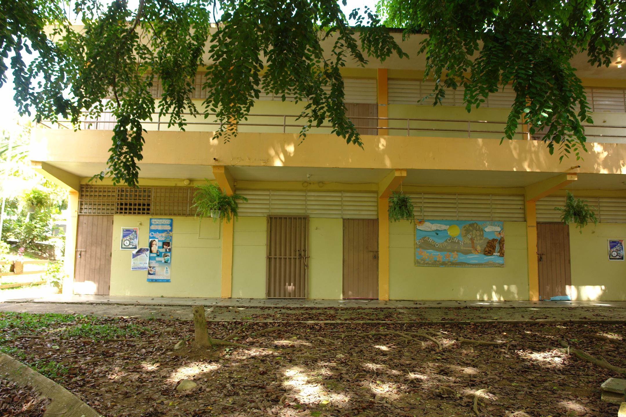 FDII - Aibonito - 2010 00030